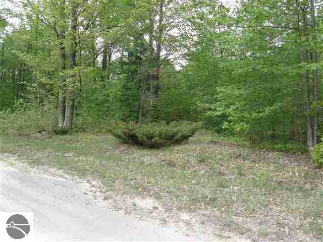 Lot 10 Roberts Road, Unit LOT: 10 Beulah, MI 49617 - Photo 13 of 20 Gallery Image 13