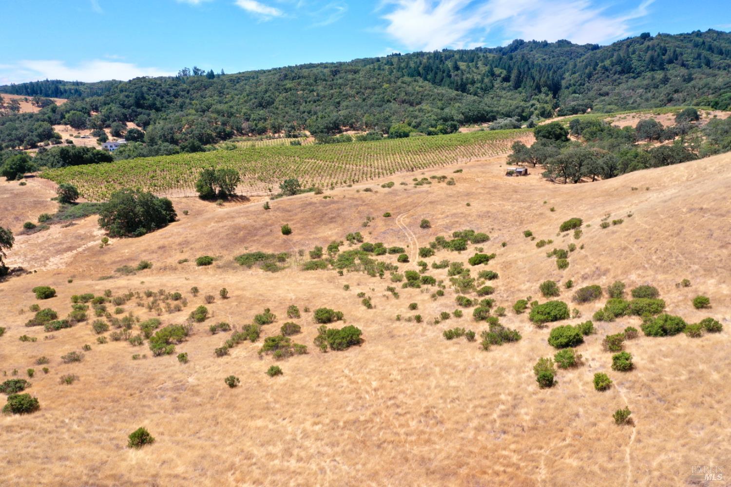 0 Dutcher Creek Road Cloverdale, CA 95425 - Photo 11 of 65