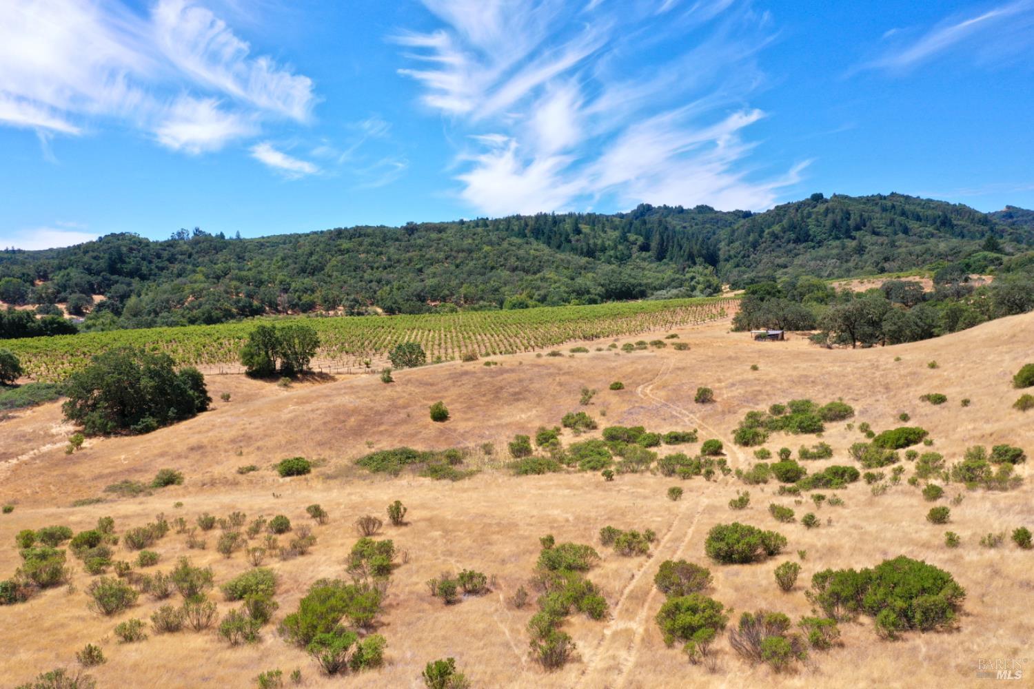 0 Dutcher Creek Road Cloverdale, CA 95425 - Photo 15 of 65