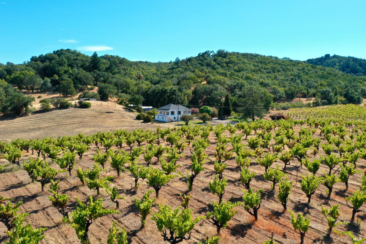 0 Dutcher Creek Road Cloverdale, CA 95425 - Photo 16 of 65