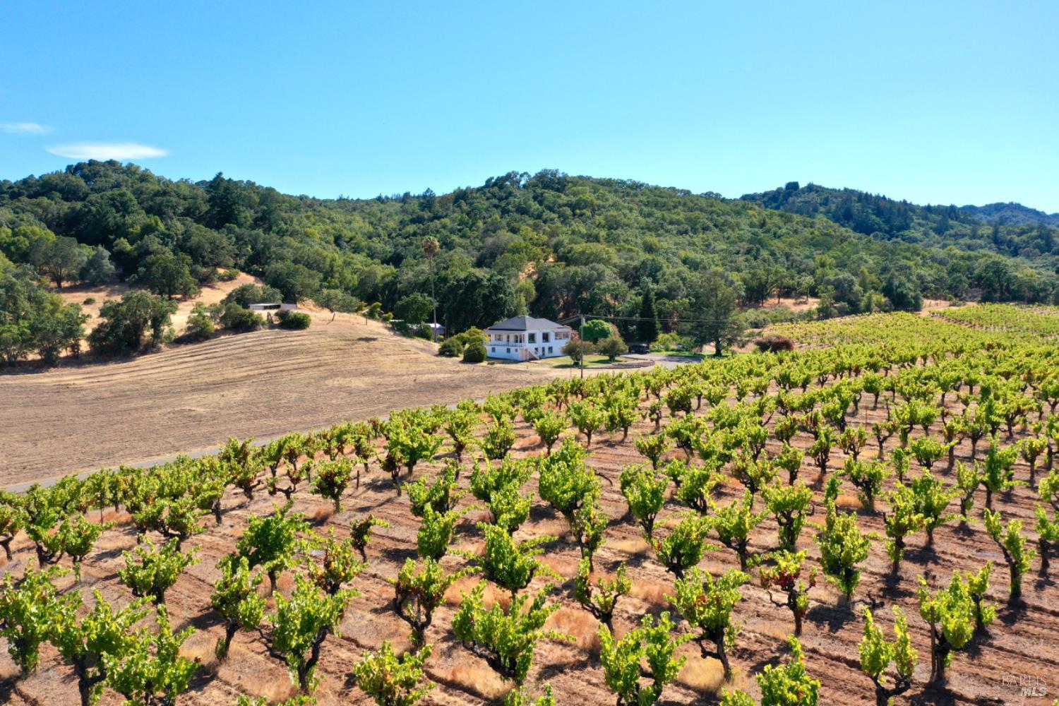 0 Dutcher Creek Road Cloverdale, CA 95425 - Photo 2 of 65