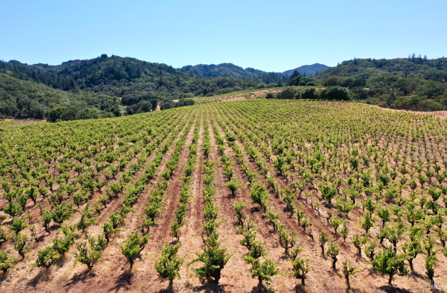 0 Dutcher Creek Road Cloverdale, CA 95425 - Photo 45 of 65