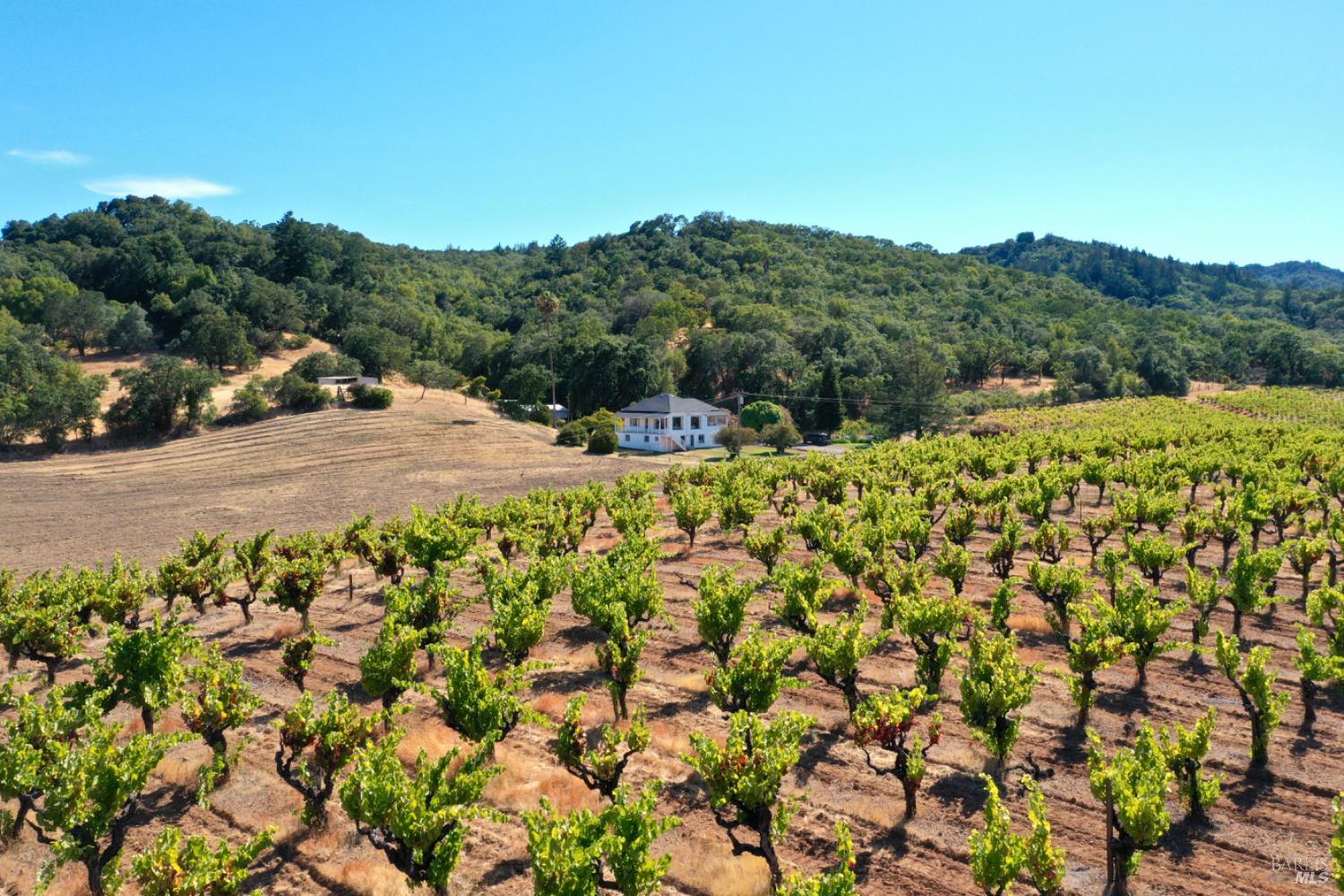 0 Dutcher Creek Road Cloverdale, CA 95425 - Photo 46 of 65