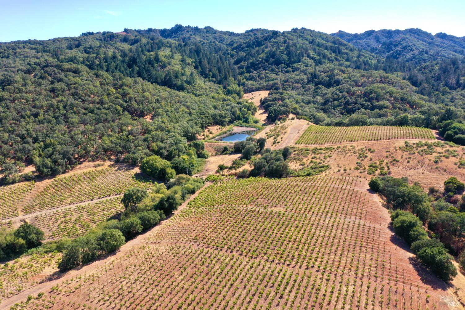 0 Dutcher Creek Road Cloverdale, CA 95425 - Photo 50 of 65