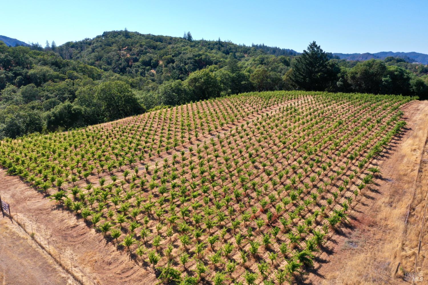0 Dutcher Creek Road Cloverdale, CA 95425 - Photo 52 of 65