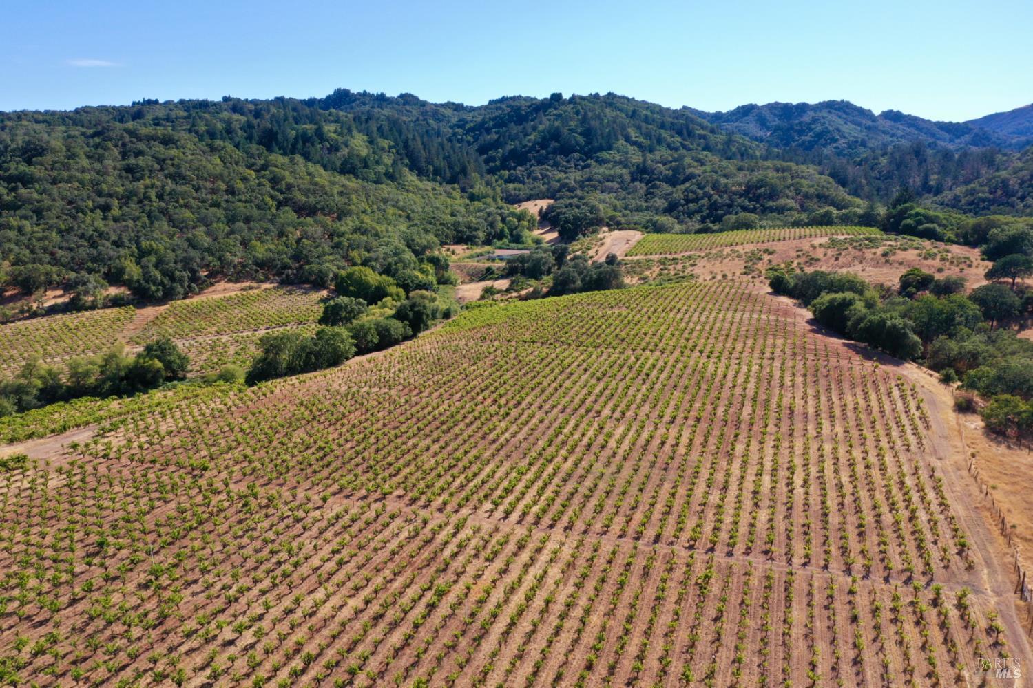 0 Dutcher Creek Road Cloverdale, CA 95425 - Photo 60 of 65