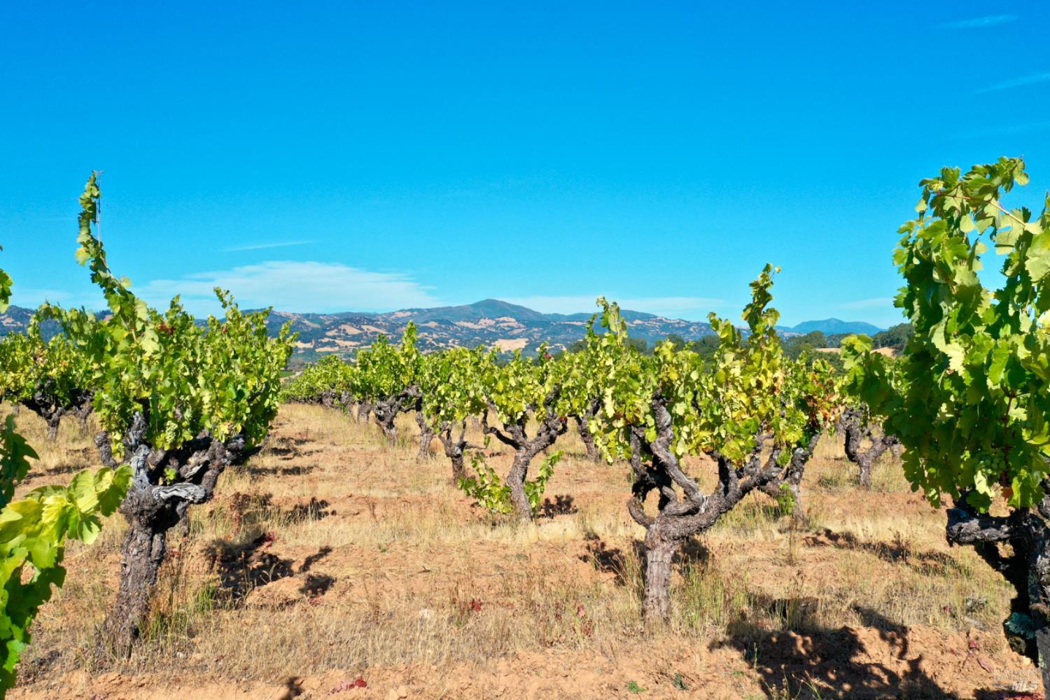 0 Dutcher Creek Road Cloverdale, CA 95425 - Photo 62 of 65