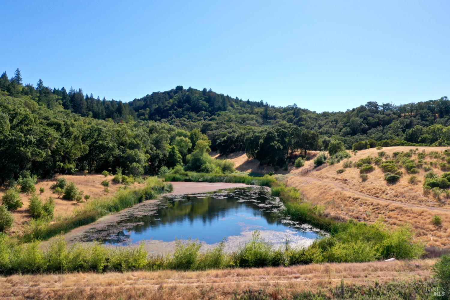 0 Dutcher Creek Road Cloverdale, CA 95425 - Photo 9 of 65