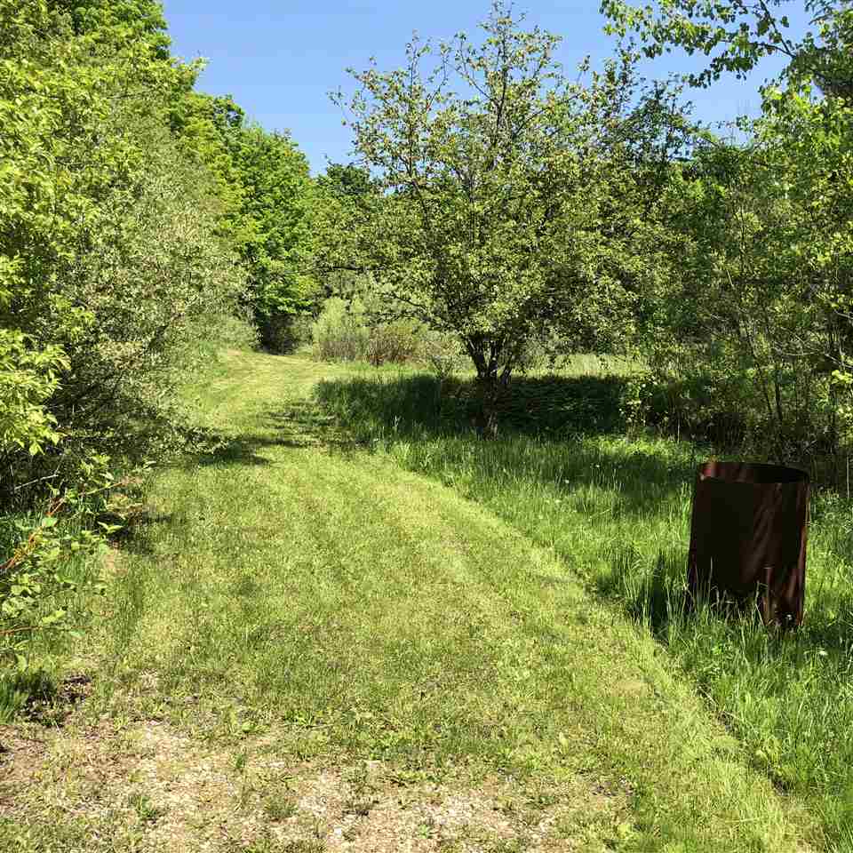 4071 Raymond Road Frankfort, MI 49635 - Photo 29 of 31 1847422-29.JPG