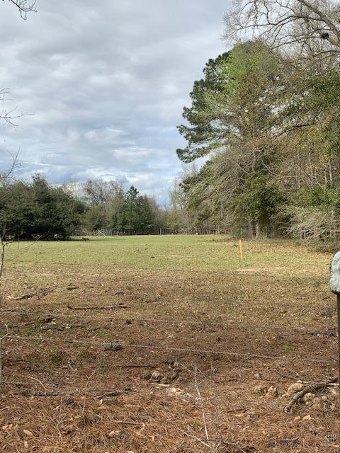 0 Oak Willie Road Hollywood, SC 29449 - Photo 1 of 13 Oak Willie Photo 2