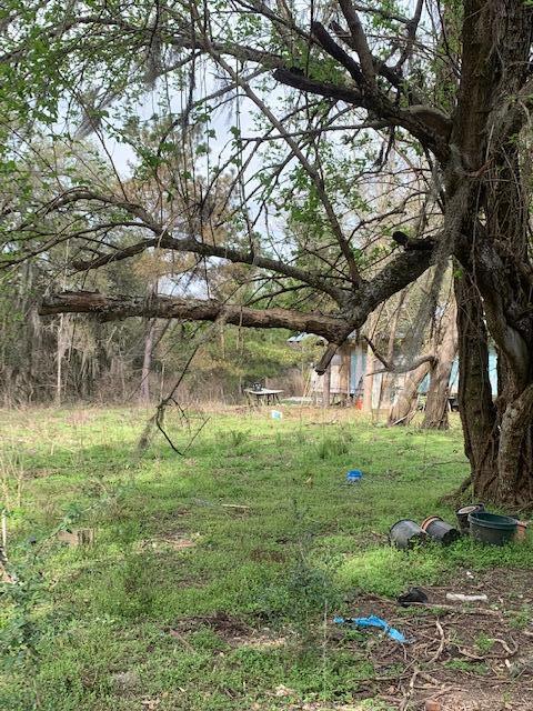 0 Oak Willie Road Hollywood, SC 29449 - Photo 2 of 13 Oak Willie 30 Acres