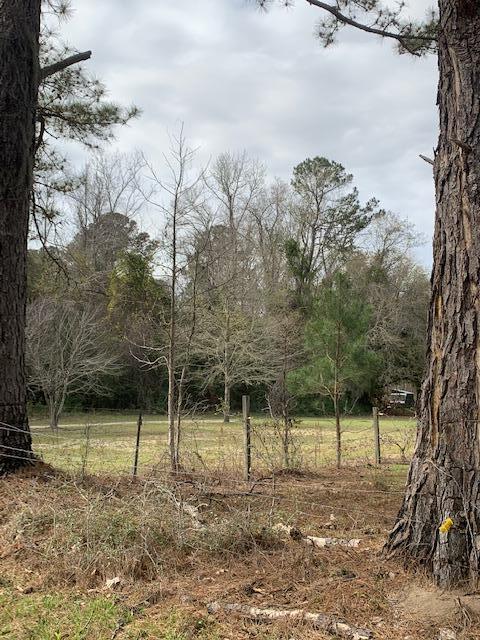 0 Oak Willie Road Hollywood, SC 29449 - Photo 3 of 13 Oak Willie Photo 5