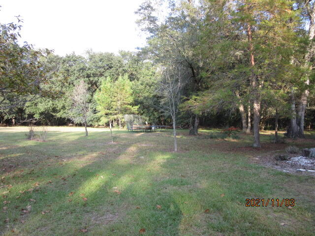 0 Oak Willie Road Hollywood, SC 29449 - Photo 10 of 13 IMG_3232