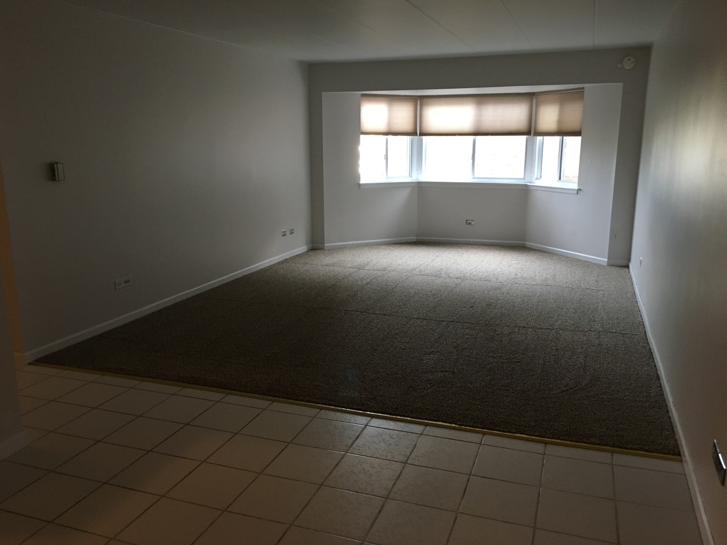 300 South Roselle Road, Unit 423 Schaumburg, IL 60193 - Photo 2 of 10