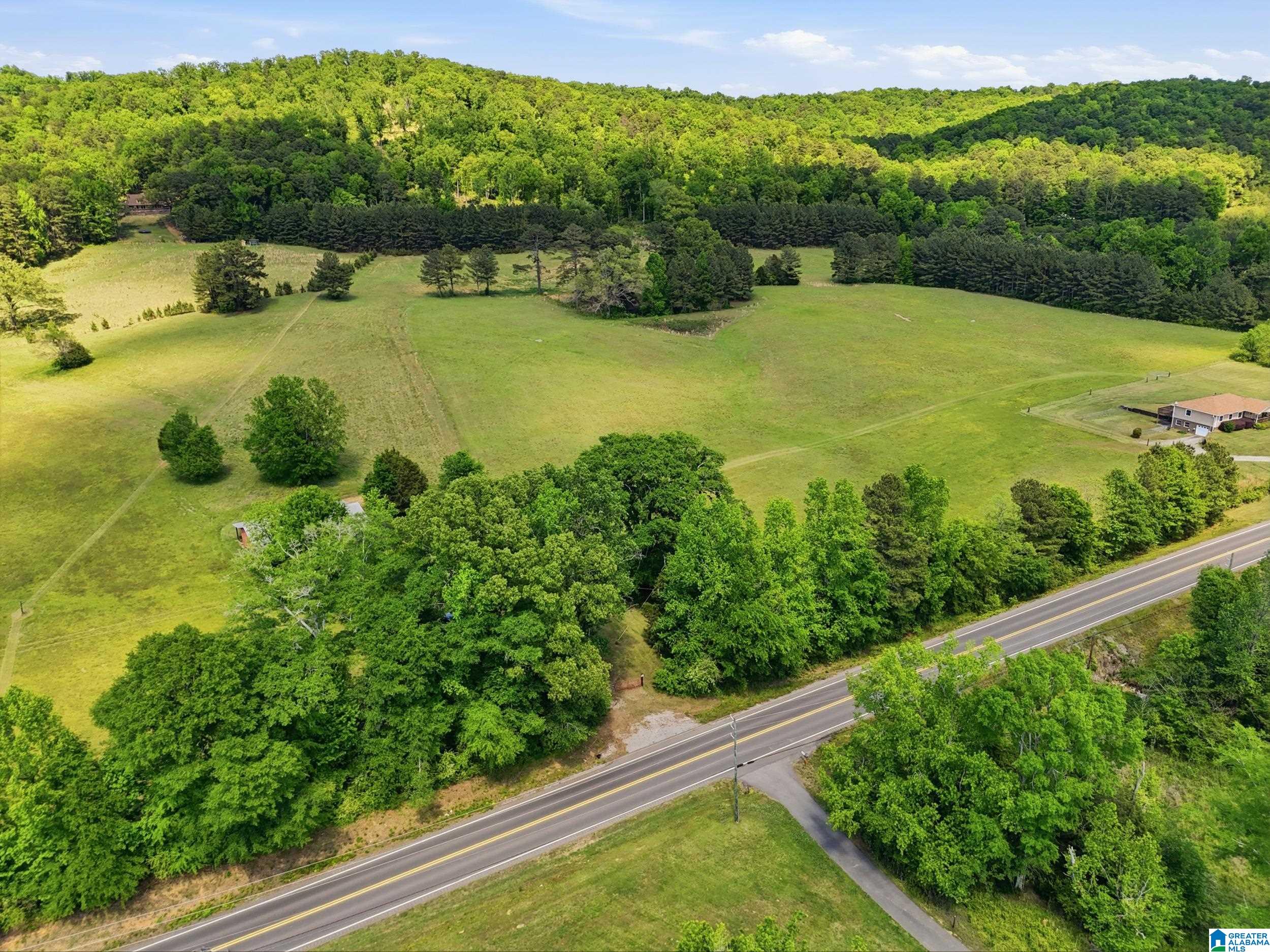 0 Highway 174, Unit 1 Springville, AL 35146 - Photo 2 of 14