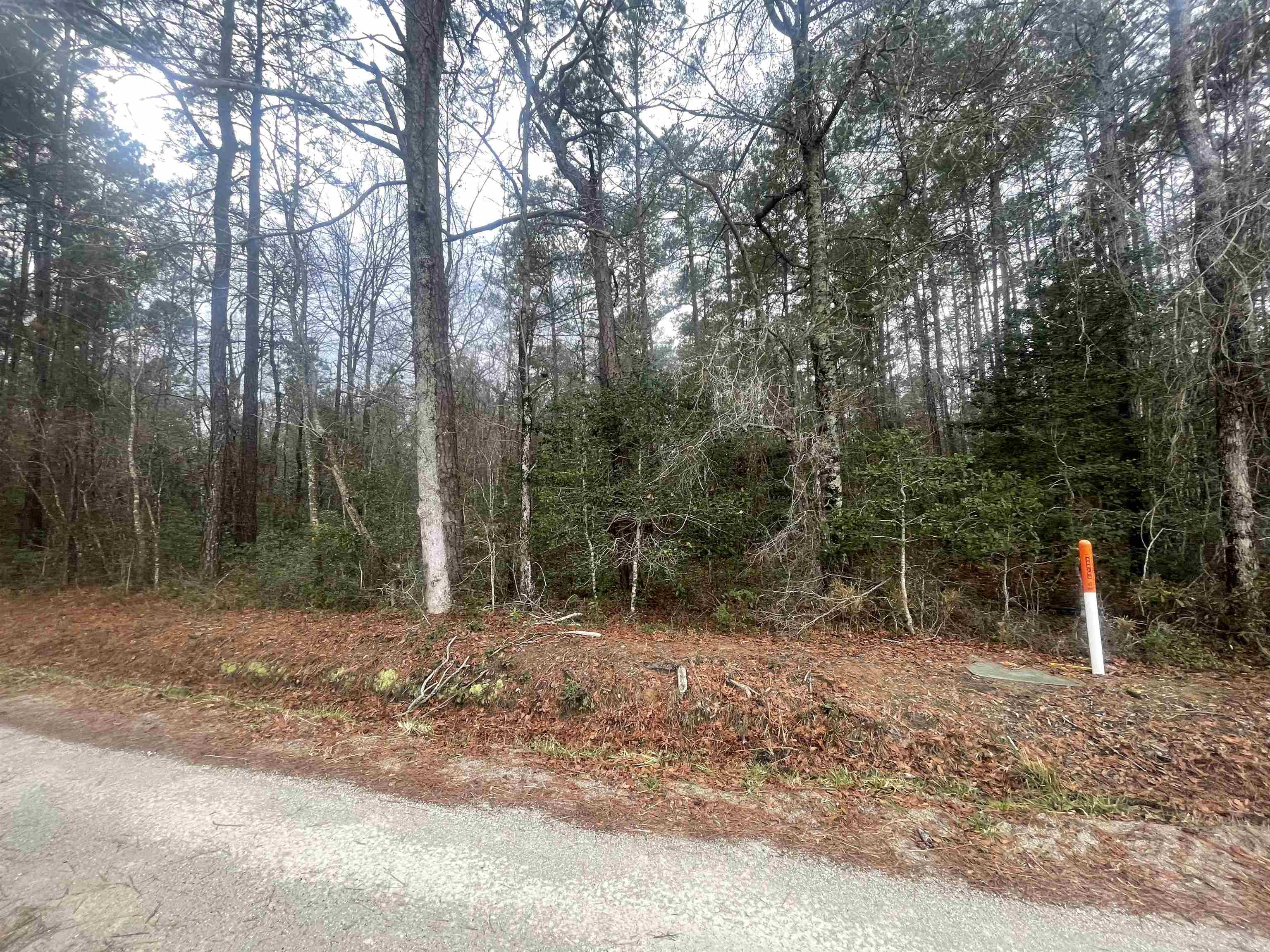 Tbd Tbd Turner Place Conway, SC 29526 - Photo 4 of 4