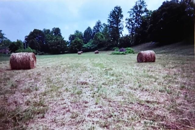 Mattox Cemetery Road Sevierville, TN 37862 - Photo 2 of 4 2