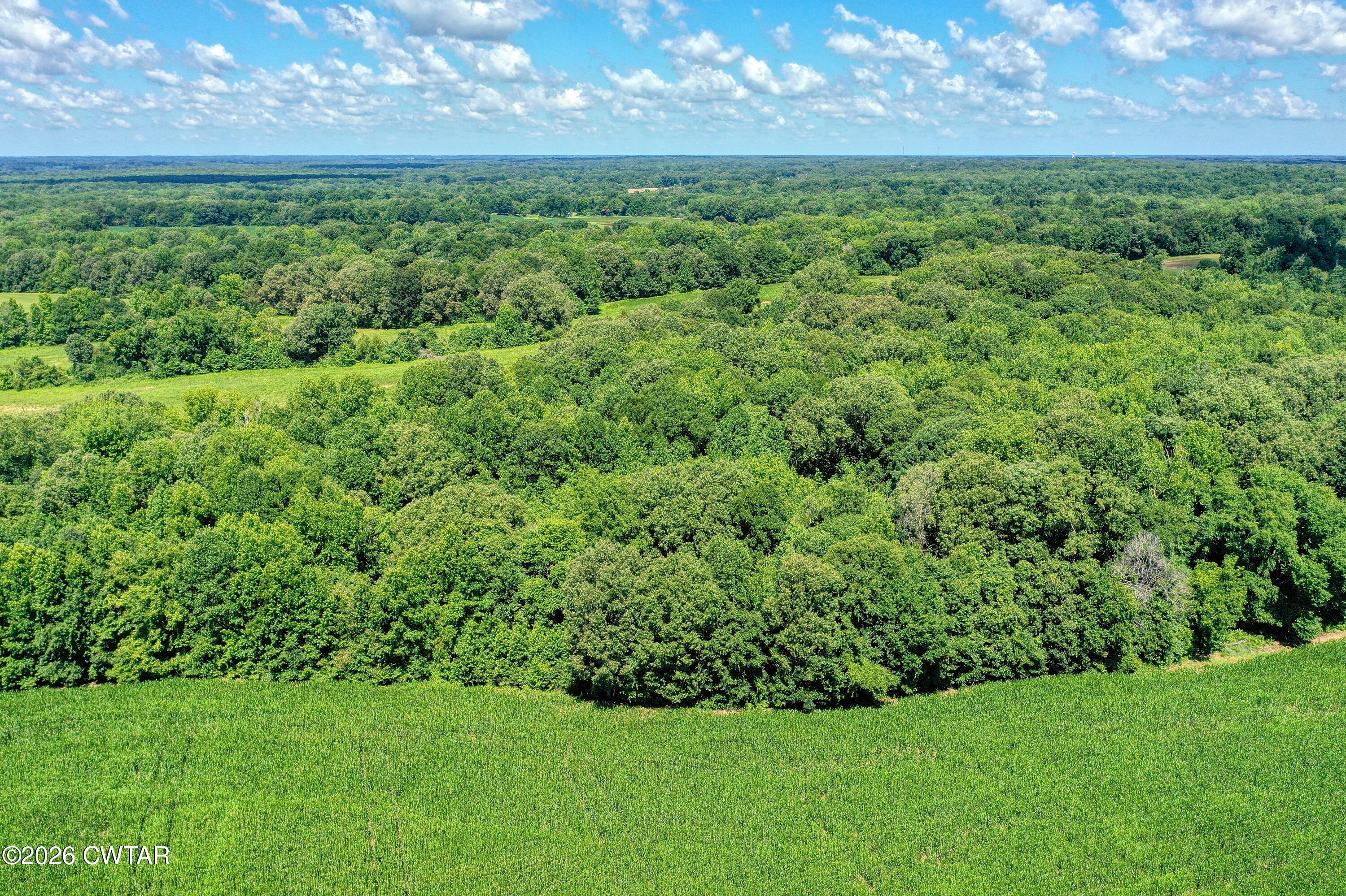 0 Perry Road Knoxville, TN 37914 - Photo 7 of 12 DJI_0134