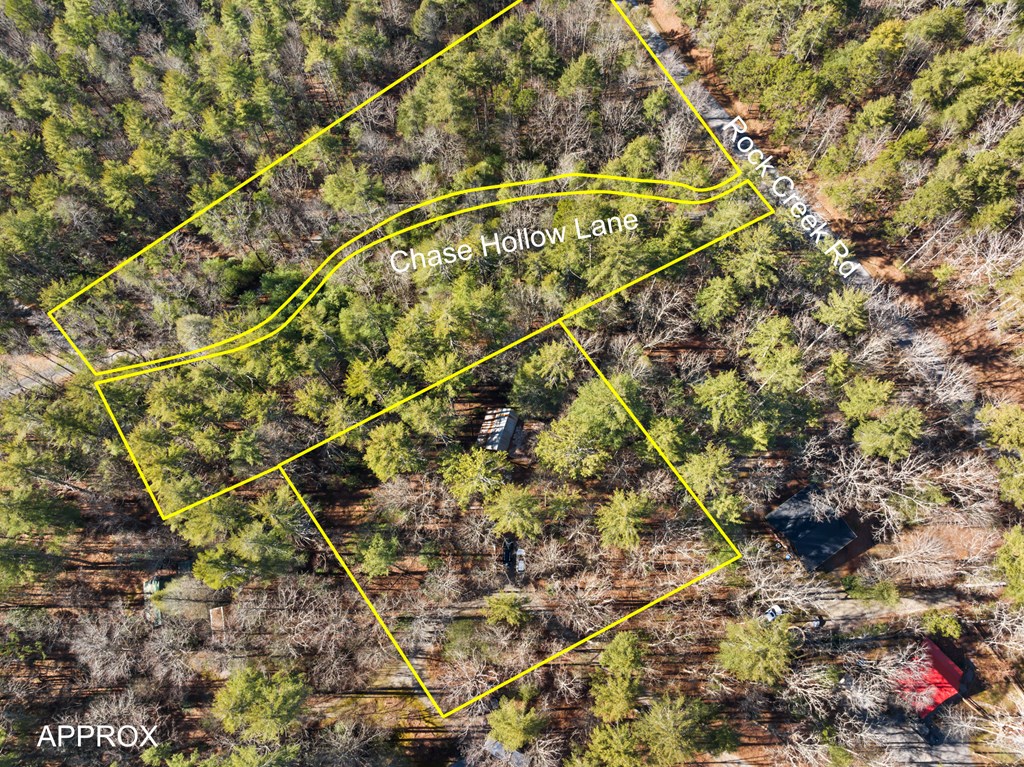 104 Big Tree Road Suches, GA 30572 - Photo 7 of 19 a picture of a tree