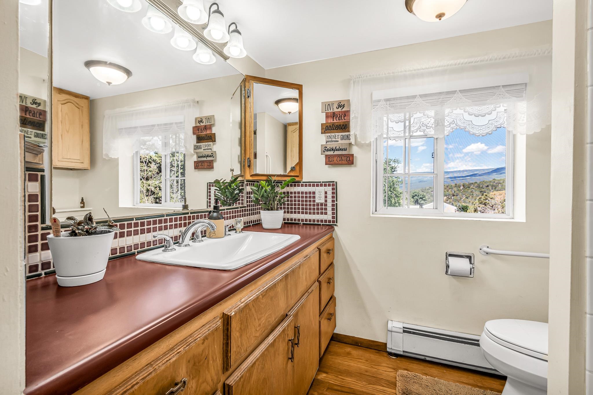 24413 Ute Trail Road Cedaredge, CO 81413 - Photo 20 of 40 a bathroom with a sink a toilet a mirror and a window
