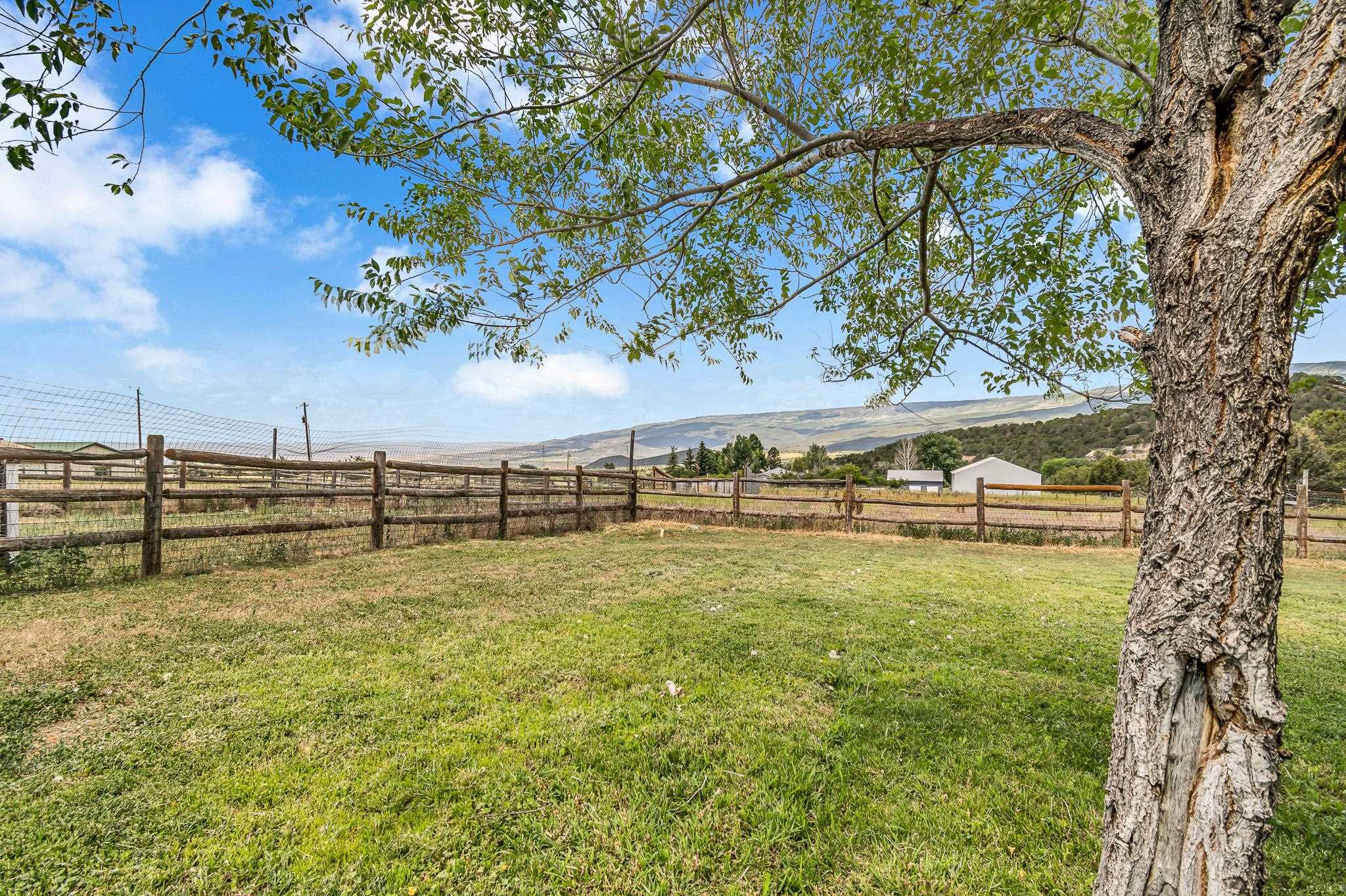 24413 Ute Trail Road Cedaredge, CO 81413 - Photo 24 of 40 a view of a yard with an trees