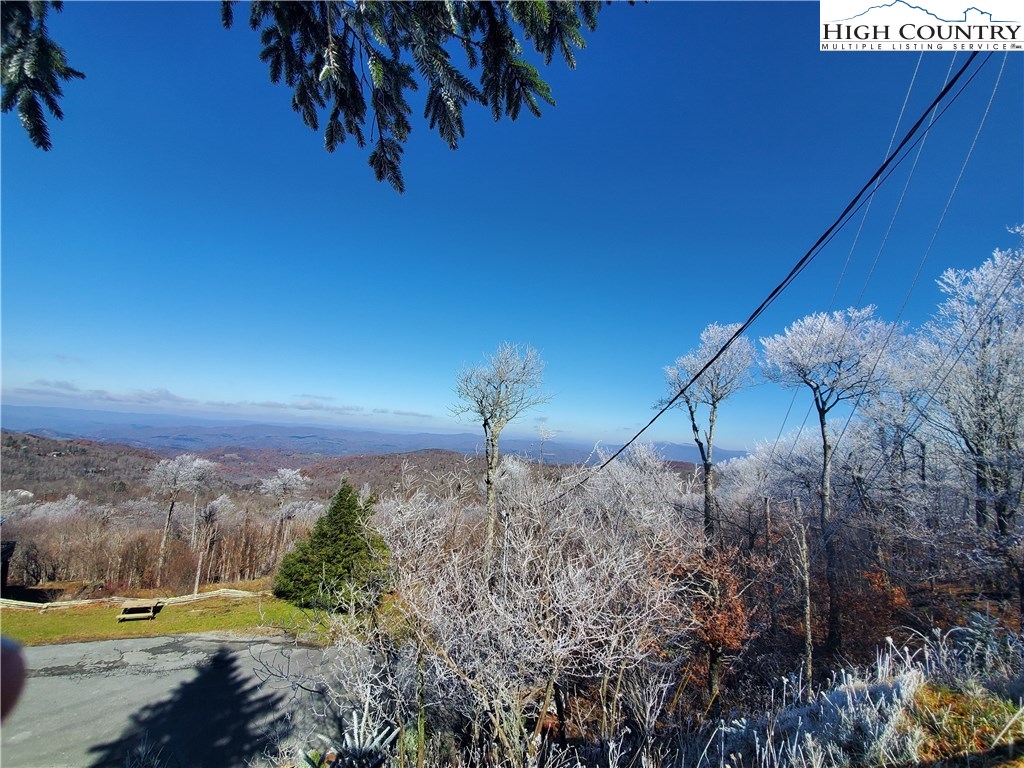 546 Pinnacle Ridge Road Beech Mountain, NC 28604 - Photo 3 of 14 a view of a yard with a swimming pool