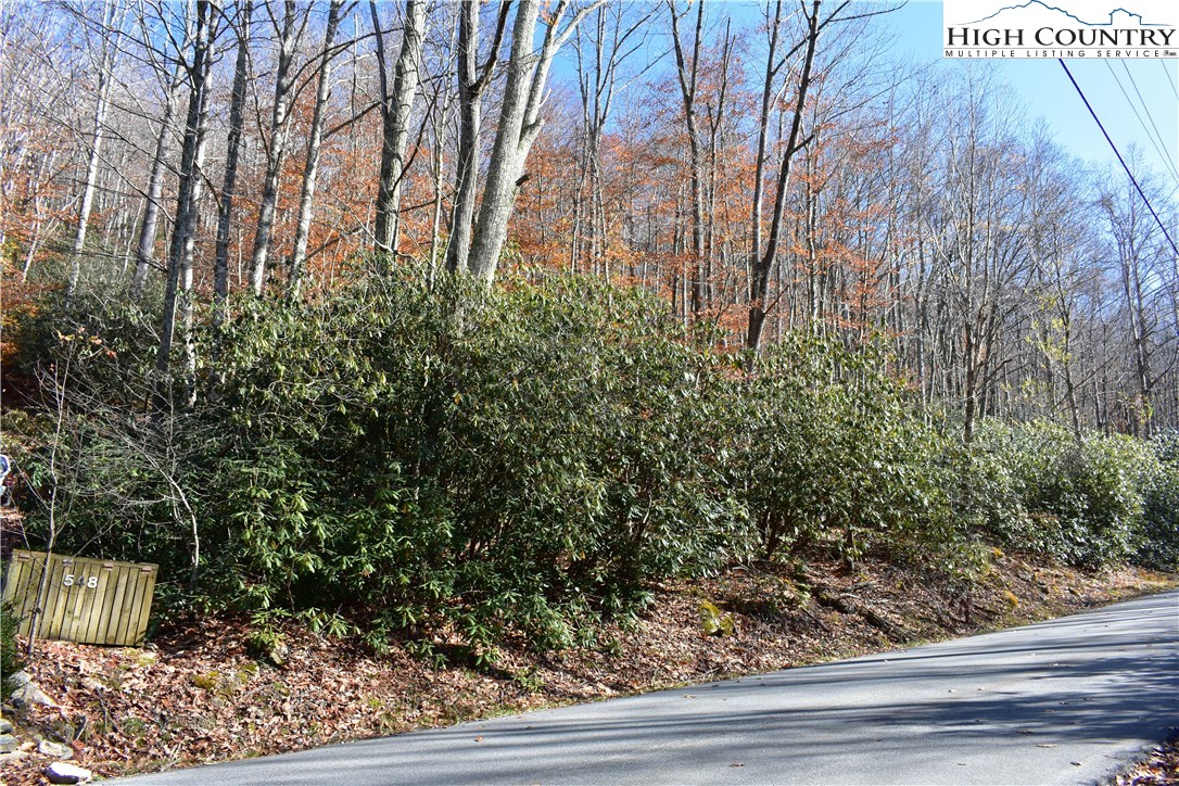 546 Pinnacle Ridge Road Beech Mountain, NC 28604 - Photo 6 of 14 a view of a outdoor space