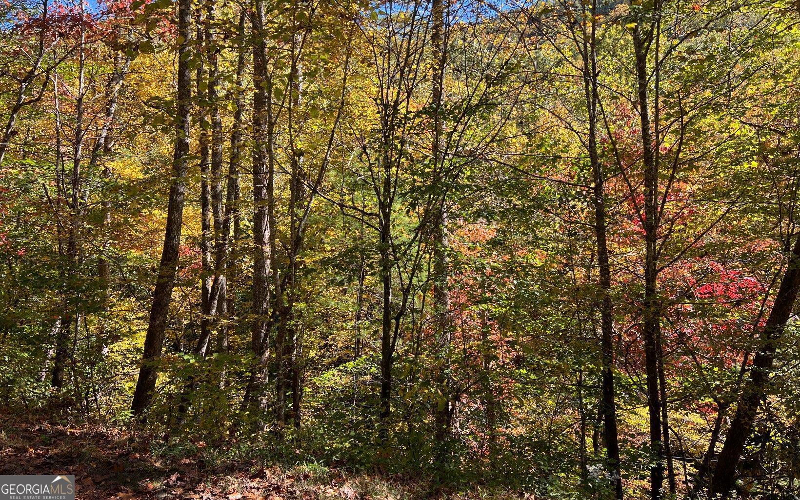 1 Tusquittee Road Hayesville, NC 28904 - Photo 12 of 13