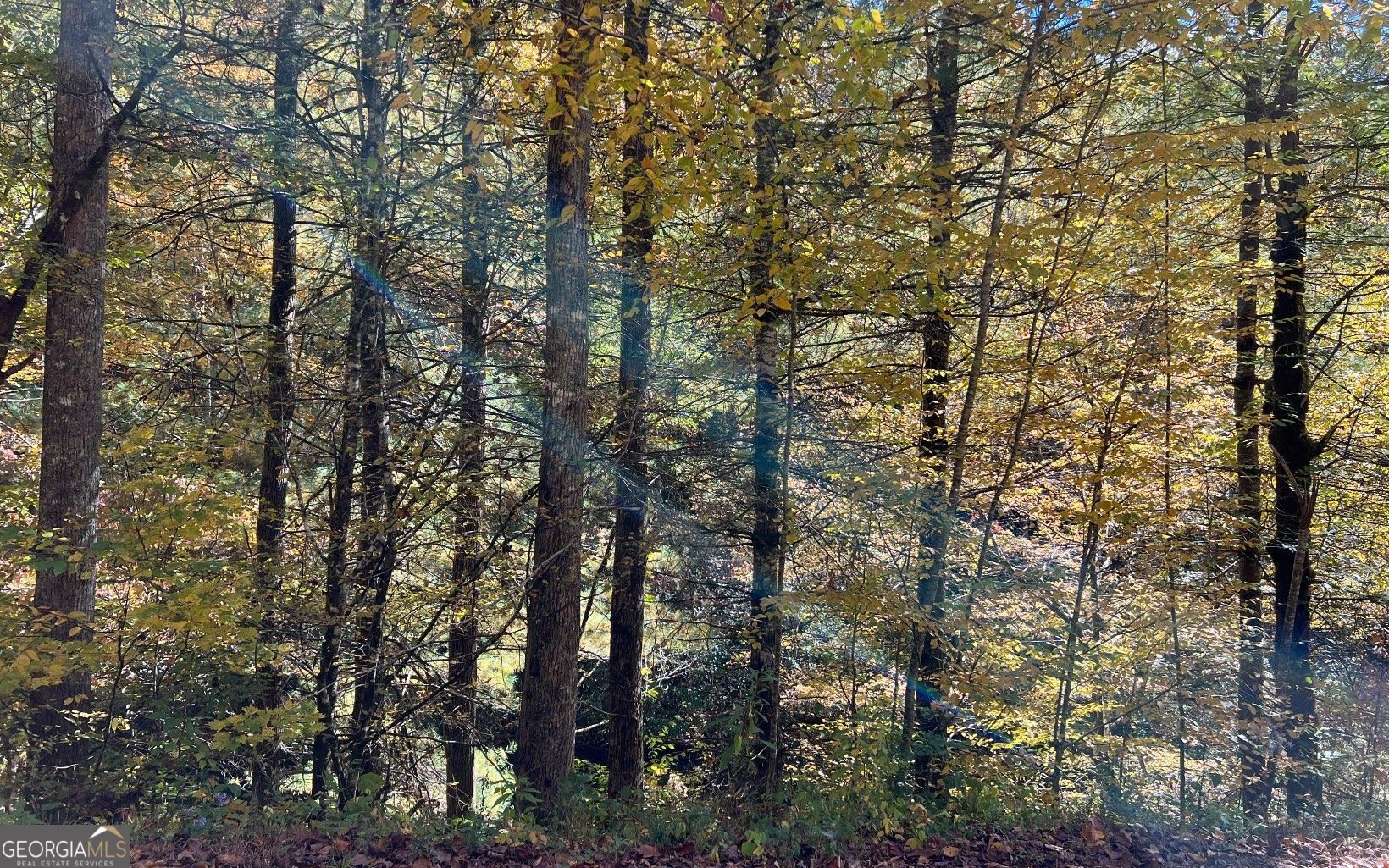 1 Tusquittee Road Hayesville, NC 28904 - Photo 13 of 13