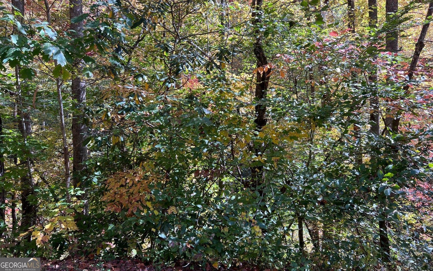 1 Tusquittee Road Hayesville, NC 28904 - Photo 6 of 13