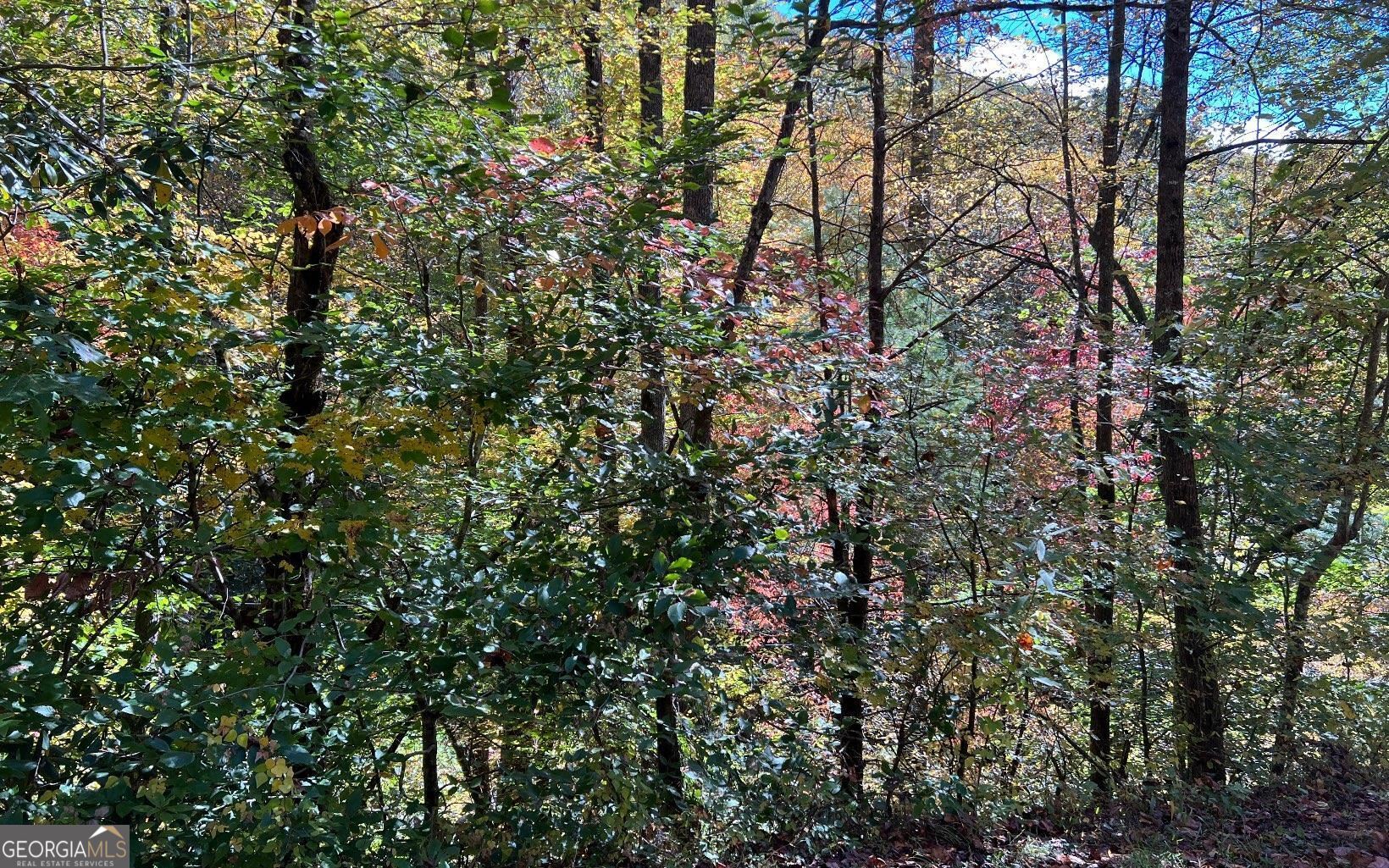 1 Tusquittee Road Hayesville, NC 28904 - Photo 7 of 13