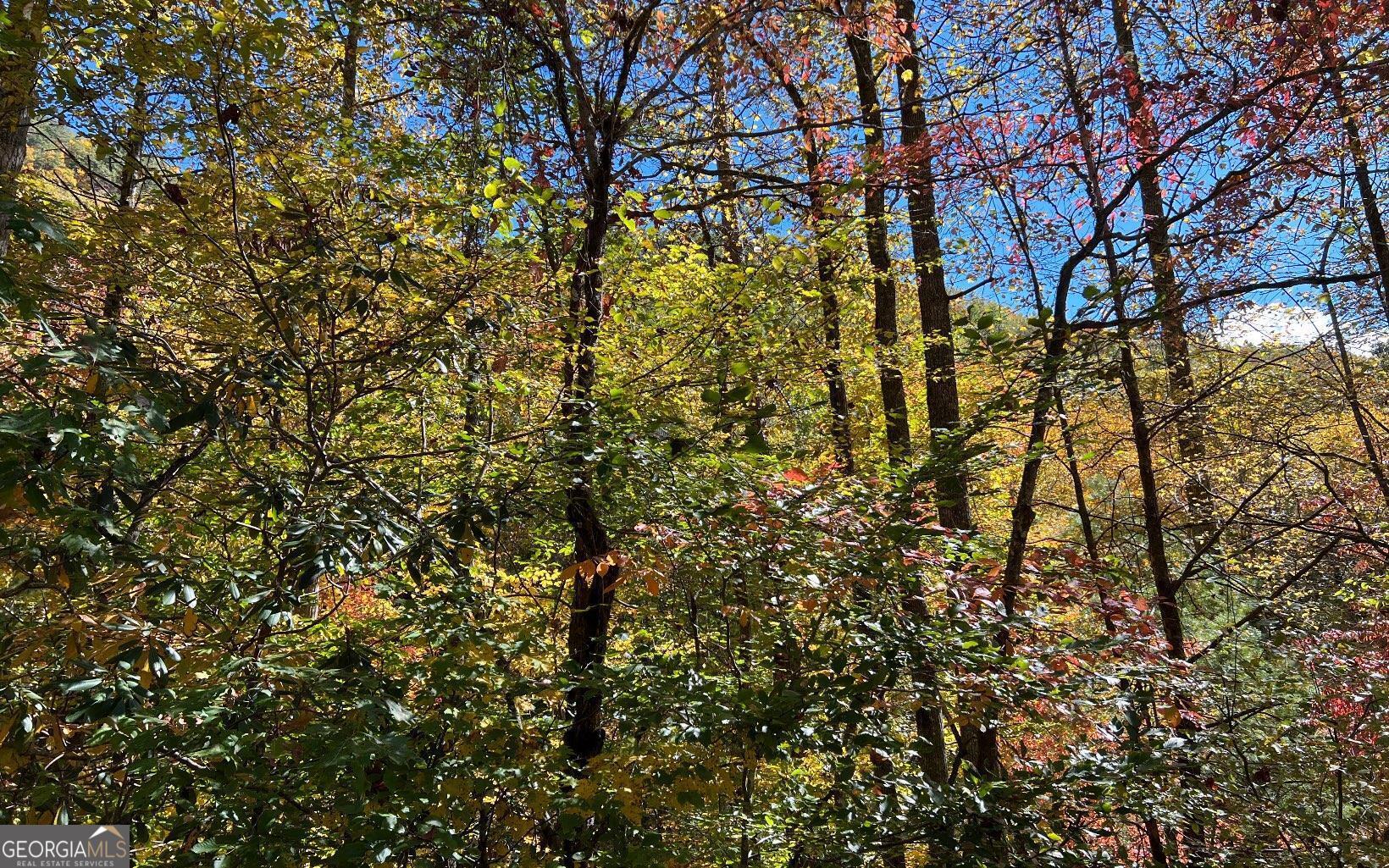 1 Tusquittee Road Hayesville, NC 28904 - Photo 8 of 13