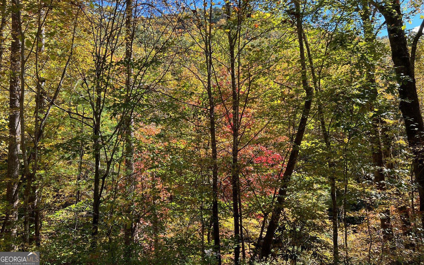 1 Tusquittee Road Hayesville, NC 28904 - Photo 9 of 13