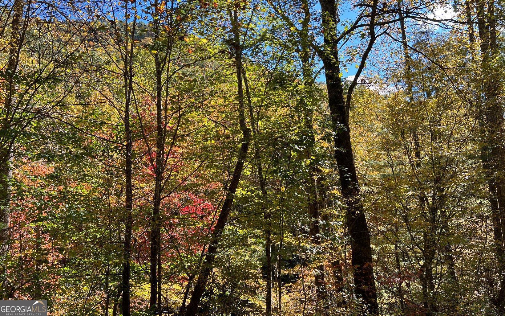 1 Tusquittee Road Hayesville, NC 28904 - Photo 10 of 13
