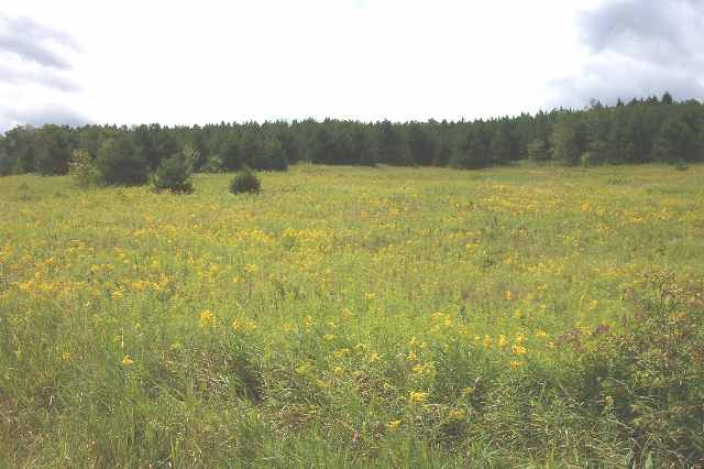 1 Stanley Roseboom Road Schenevus, NY 12155 - Photo 1 of 1 Photo 1