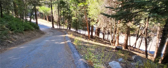 a view of a yard with plants and trees