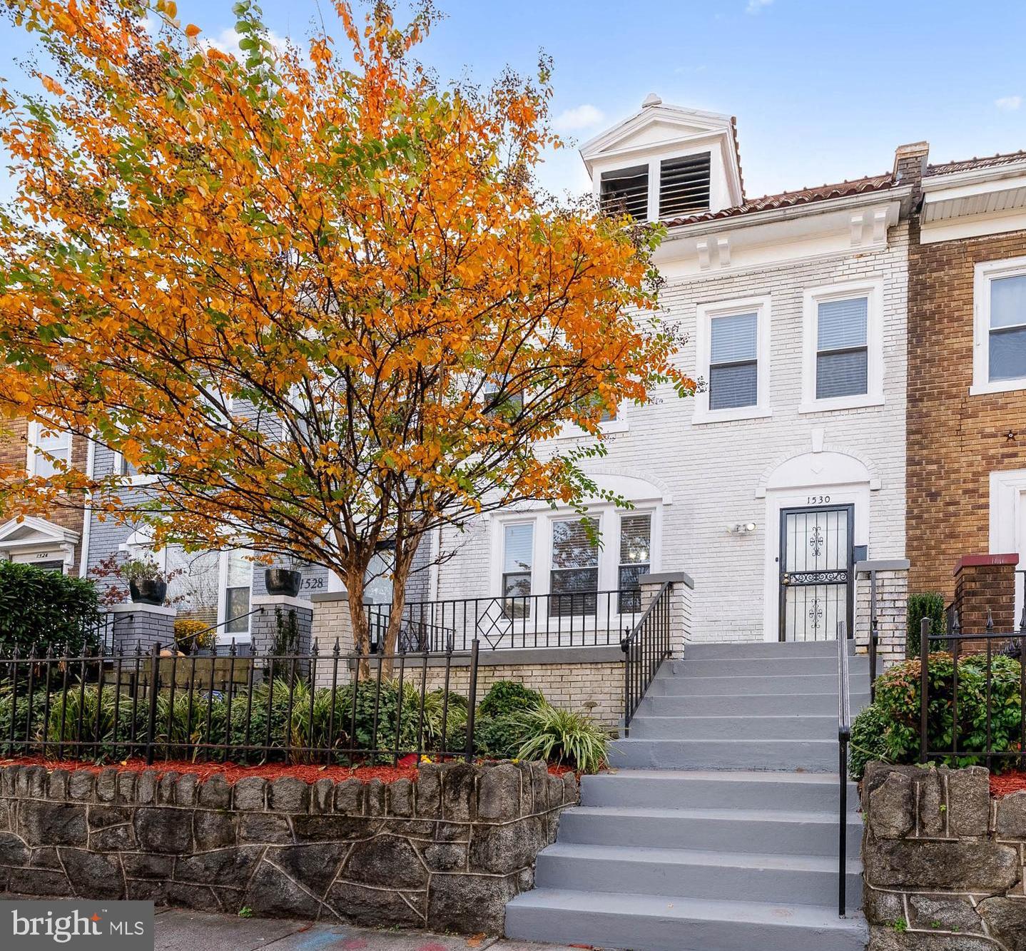 1530 Spring Place Northwest Washington, DC 20010 - Photo 45 of 45 Tree in the Fall