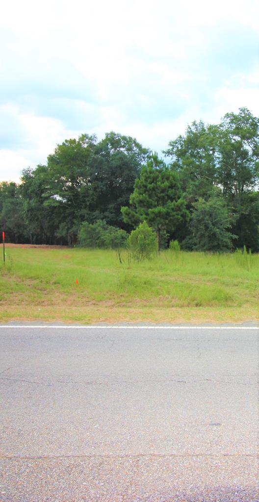 7-acres Cottonwood Road Dothan, AL 36301 - Photo 4 of 5
