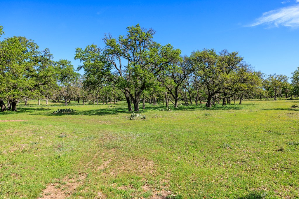 283 Dally Road, Unit 14 Comfort, TX 78013 - Photo 9 of 12 Gallery Image 9
