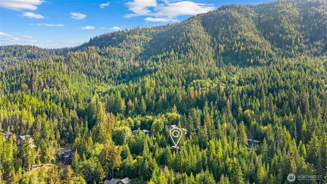 a view of backyard with outdoor seating and plants