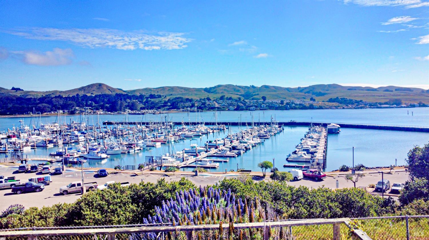 1924 Bay Flat Road Bodega Bay, CA 94923 - Photo 15 of 21