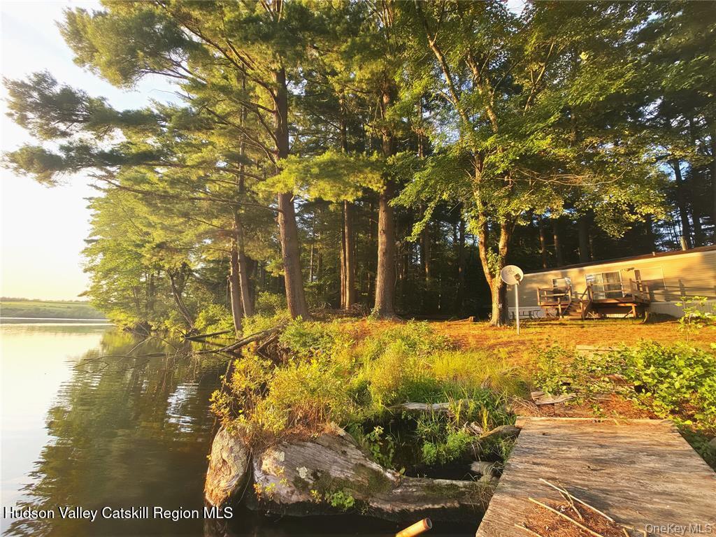 25 George Segar Road Bethel, NY 12783 - Photo 4 of 37 GetMedia (4)