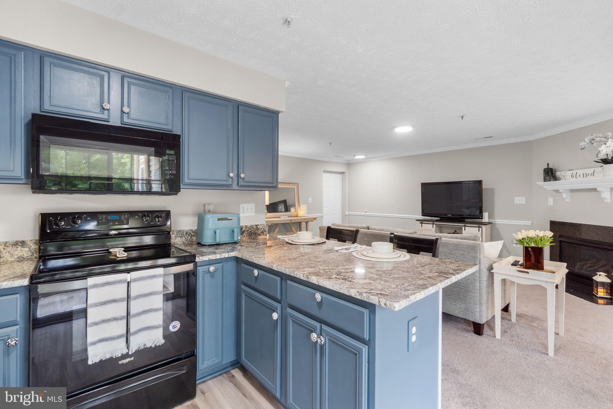 6509 Springwater Court, Unit 6303 Frederick, MD 21701 - Photo 15 of 48 a kitchen with a stove a sink and a microwave