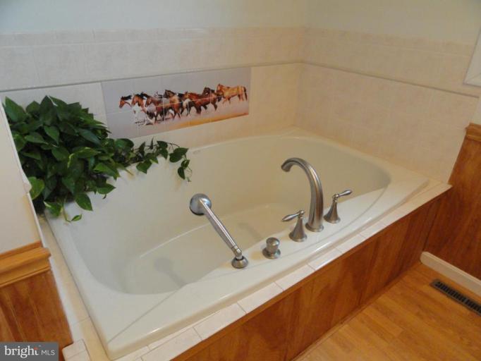 8235 Detour Road Denton, MD 21629 - Photo 13 of 30 a bathroom with a bathtub