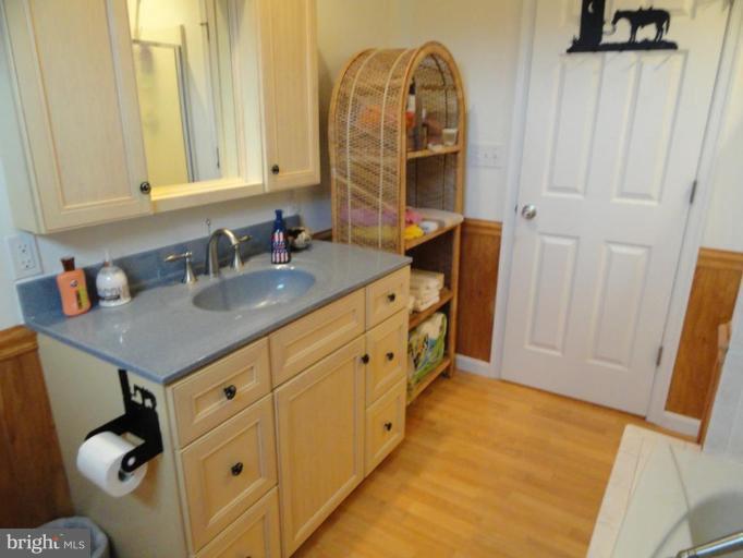 8235 Detour Road Denton, MD 21629 - Photo 14 of 30 a bathroom with a sink and a mirror