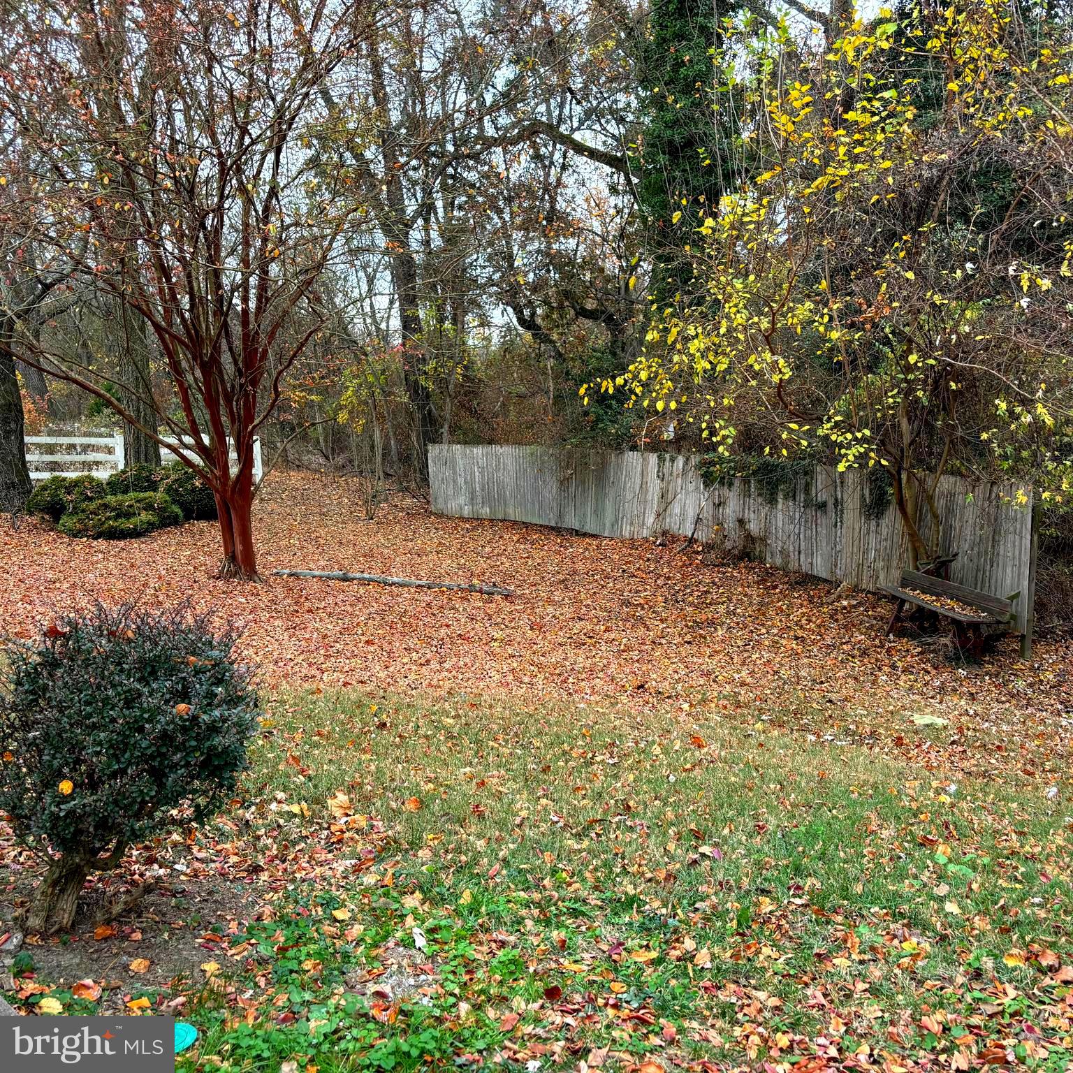 10724 Foreston Road Chestertown, MD 21620 - Photo 3 of 35 Rear Yard