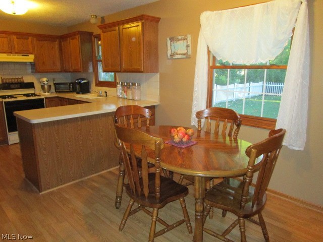288 Stable Road Lagrange, OH 44050 - Photo 11 of 28 Gallery Image 11