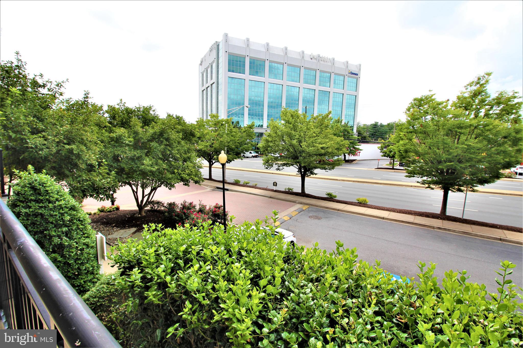 501 Hungerford Drive, Unit 137 Rockville, MD 20850 - Photo 24 of 37 a view of a garden with plants and trees