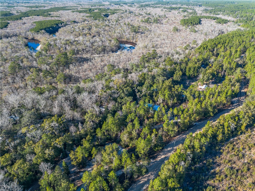 1320 Douglas Fish Camp Road White Oak, GA 31568 - Photo 3 of 73