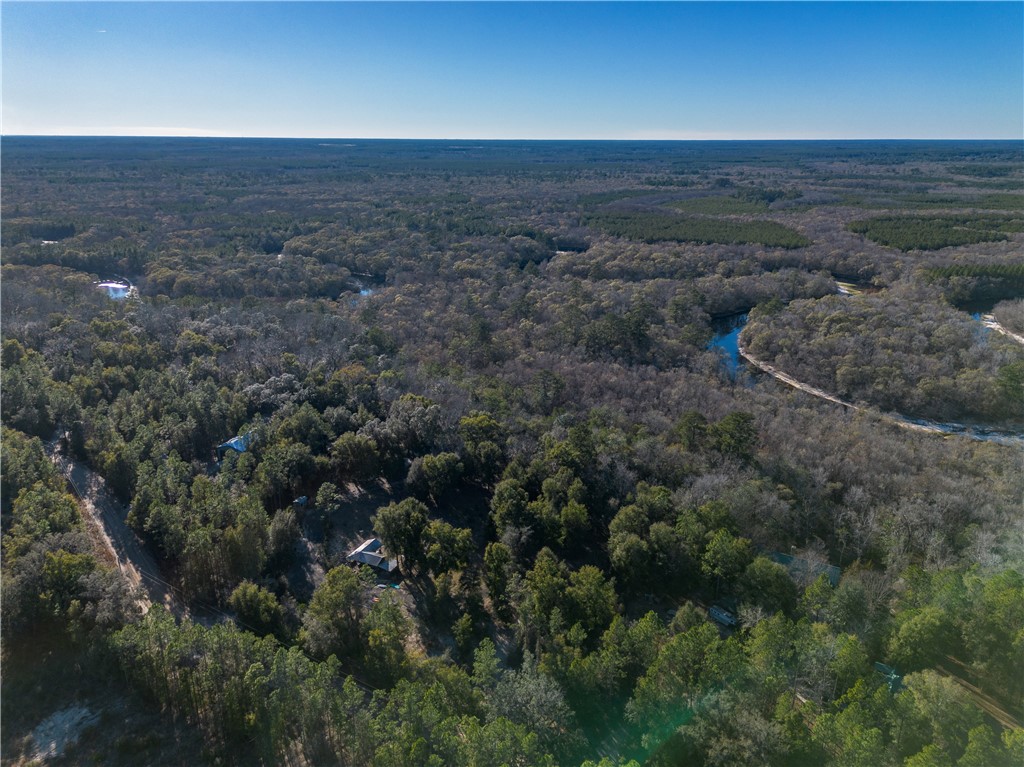 1320 Douglas Fish Camp Road White Oak, GA 31568 - Photo 7 of 73